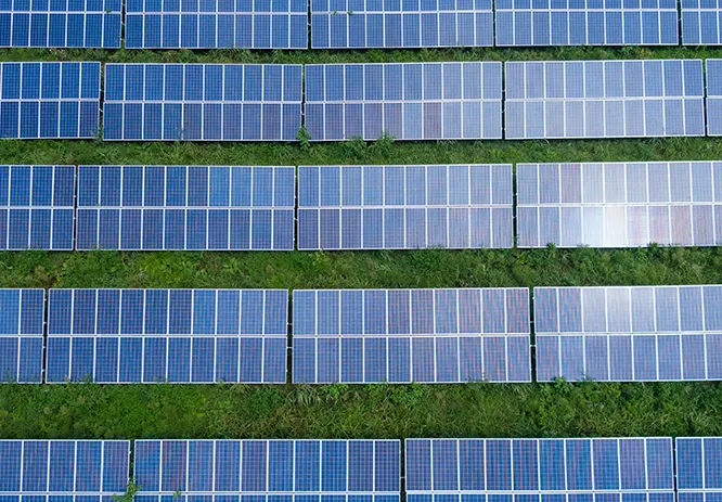 Learn more Sustainability